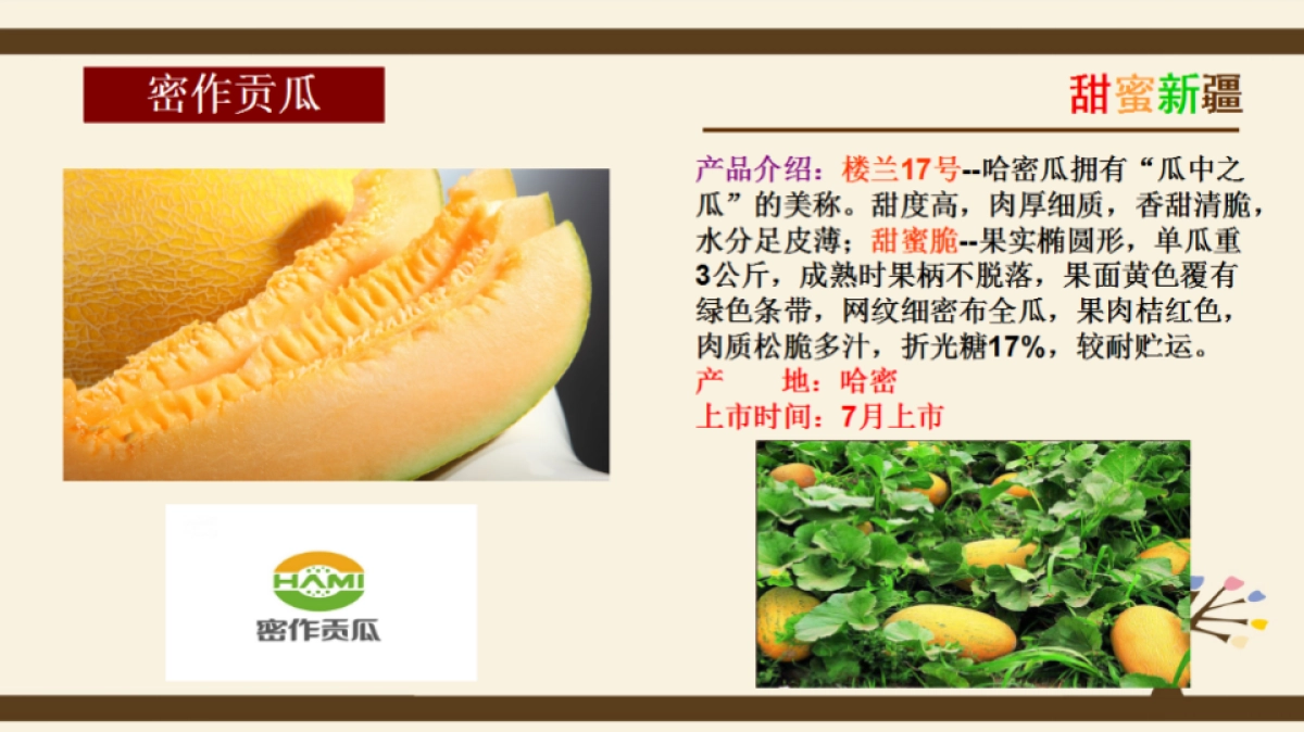 新疆特色产品宣介_第5页