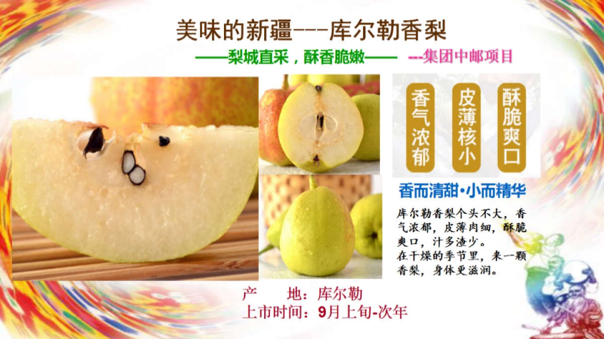 新疆特色产品宣介_第6页