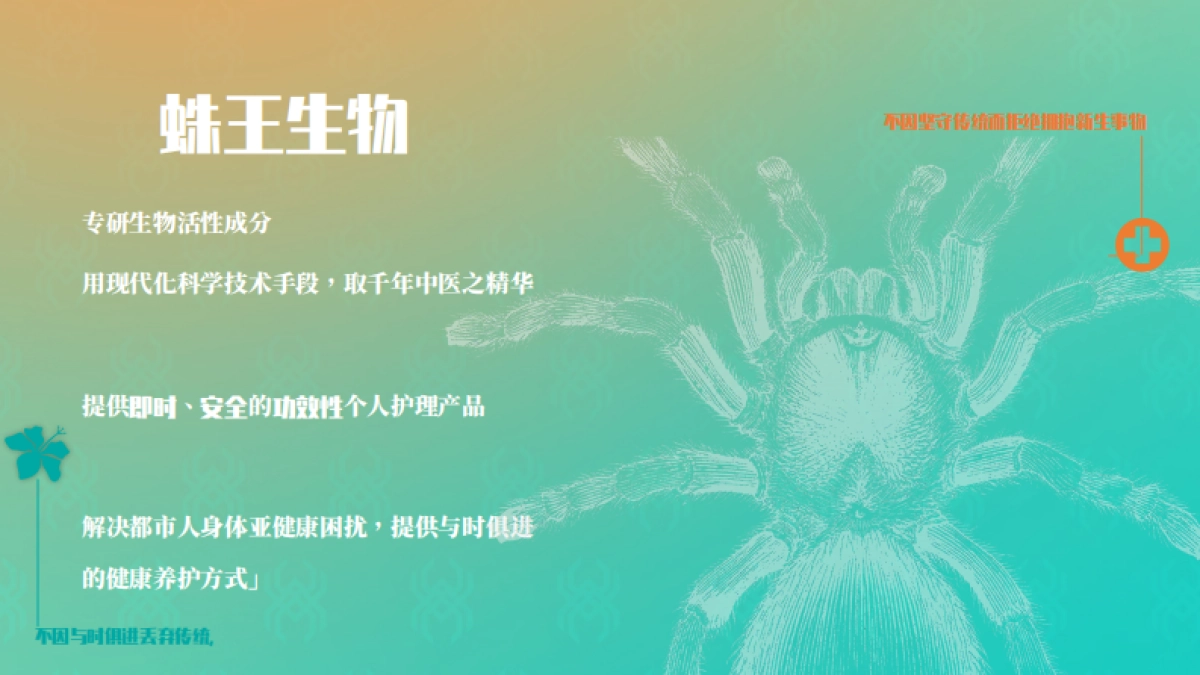 蛛王产品介绍_第2页