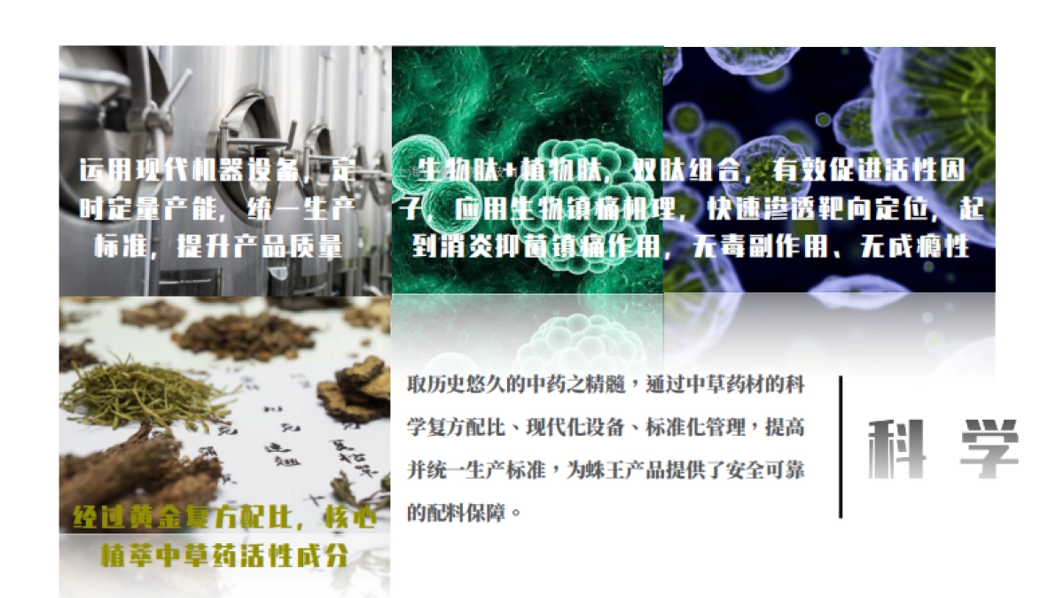 蛛王产品介绍_第5页