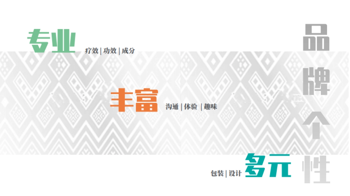 蛛王产品介绍_第7页