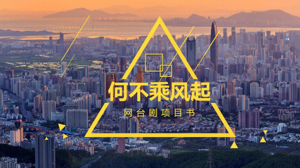 《何不乘风起》项目书_第1页