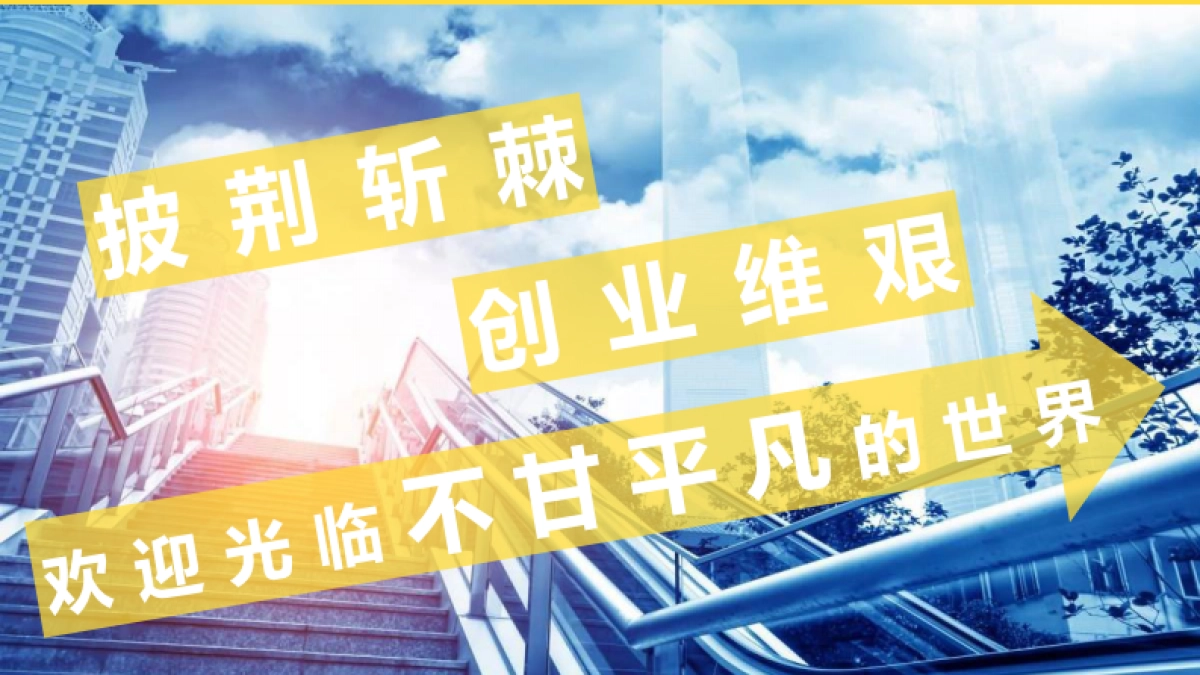 《何不乘风起》项目书_第5页