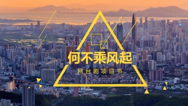 《何不乘风起》项目书