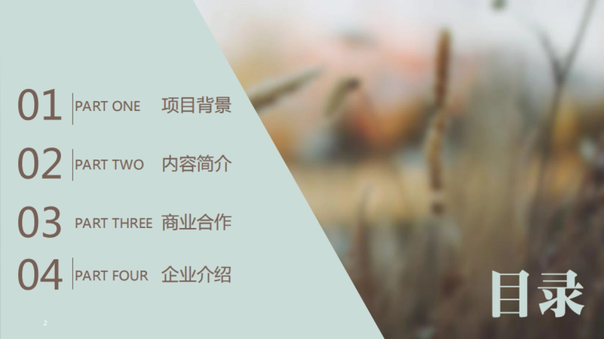 《如果蜗牛有爱情》项目通案_第2页