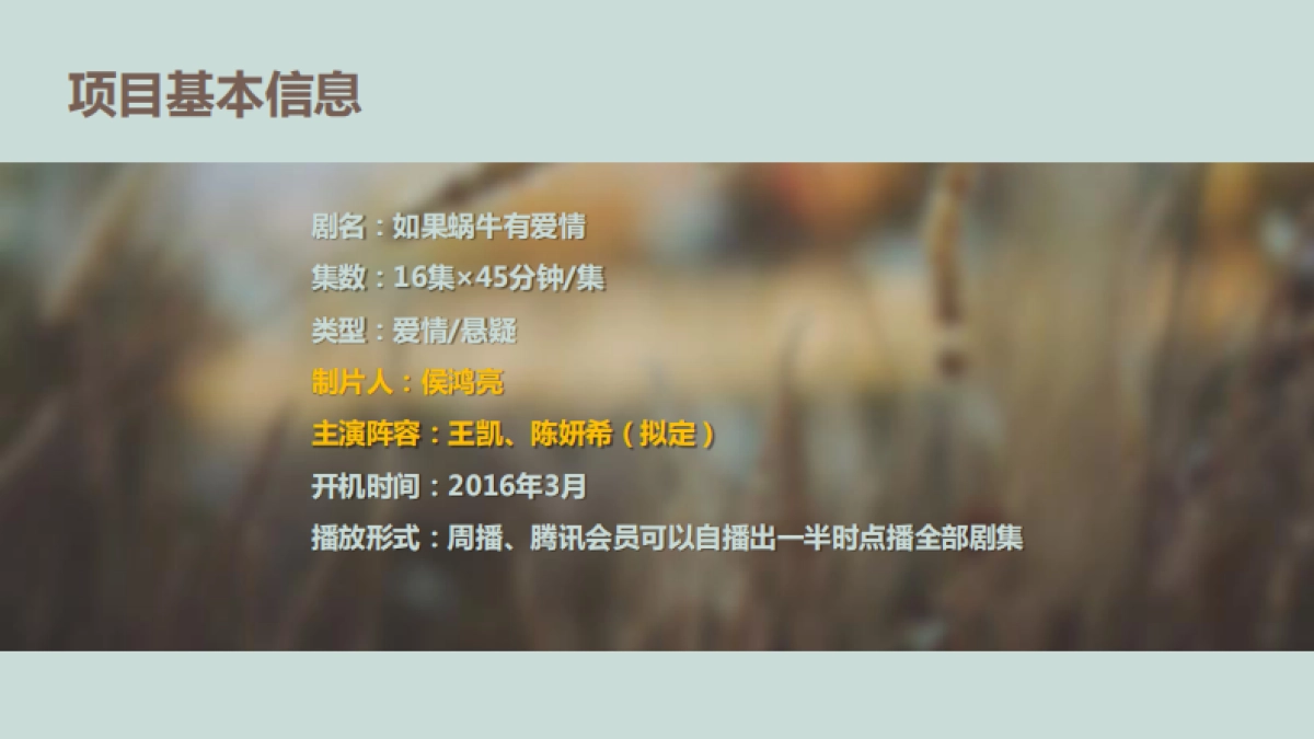 《如果蜗牛有爱情》项目通案_第5页