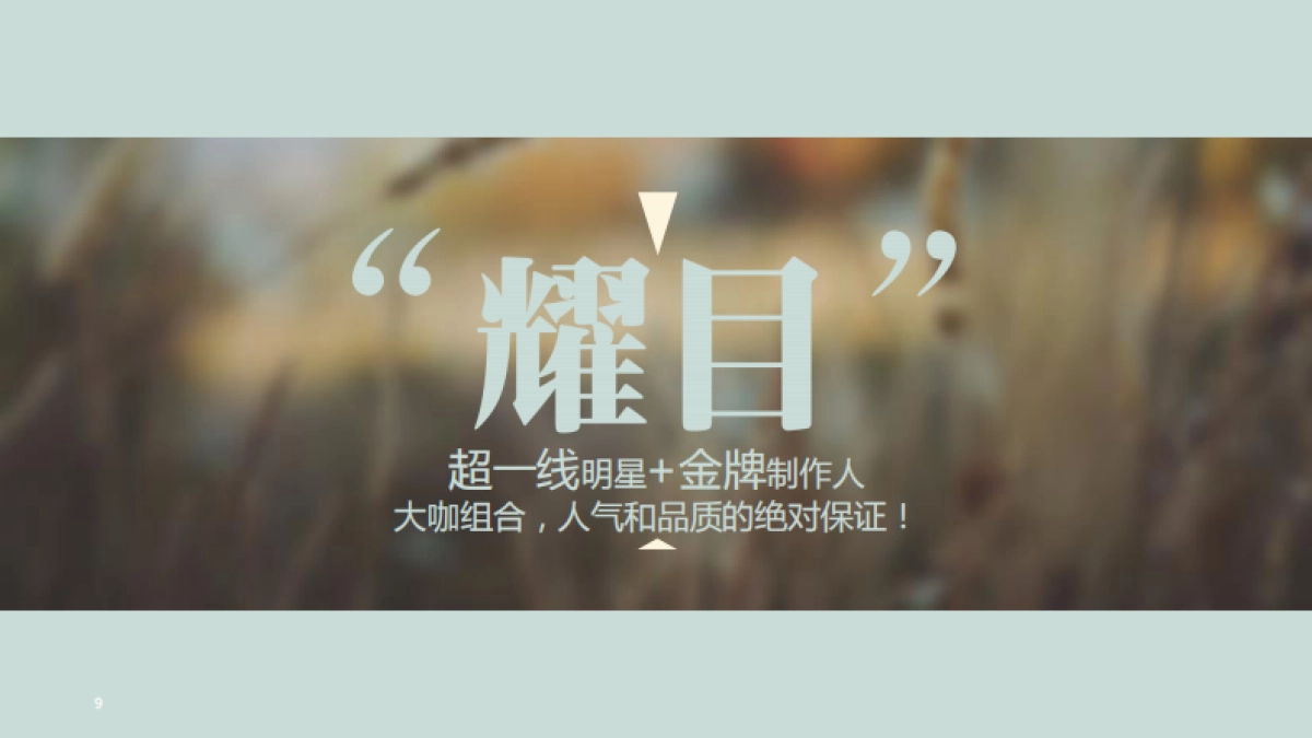 《如果蜗牛有爱情》项目通案_第9页