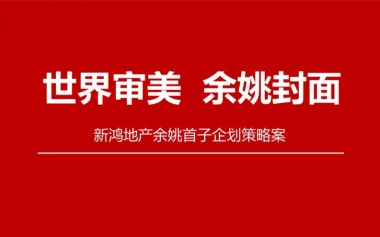 2020余姚新鸿未来观项目策略全案