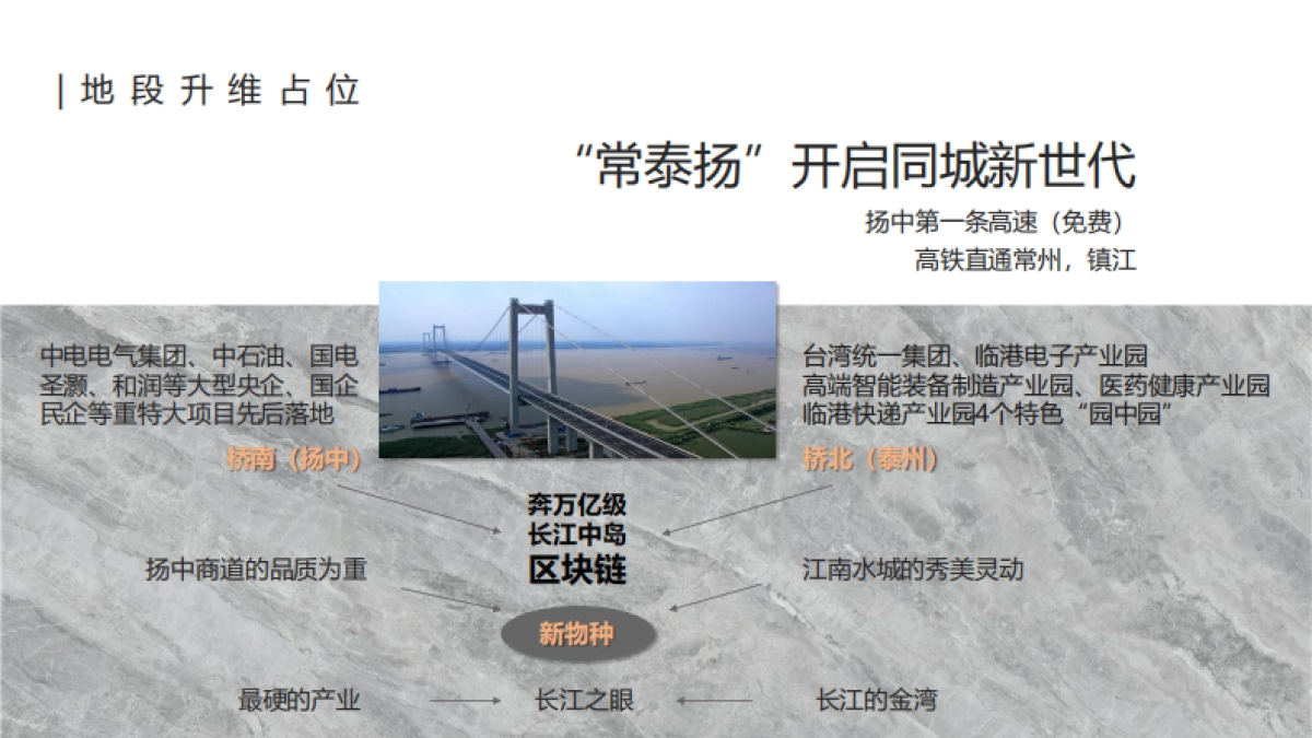 2021绿地香港扬中项目策略提报（擎划长江中岛）_第10页
