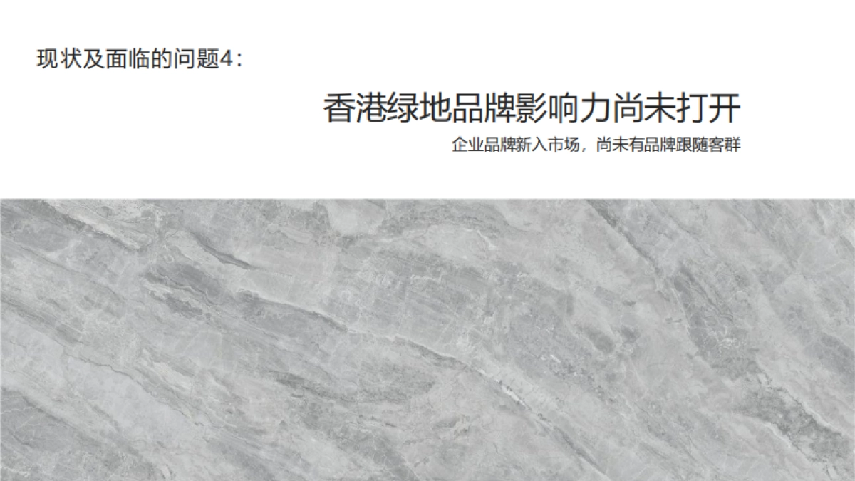 2021绿地香港扬中项目策略提报（擎划长江中岛）_第6页