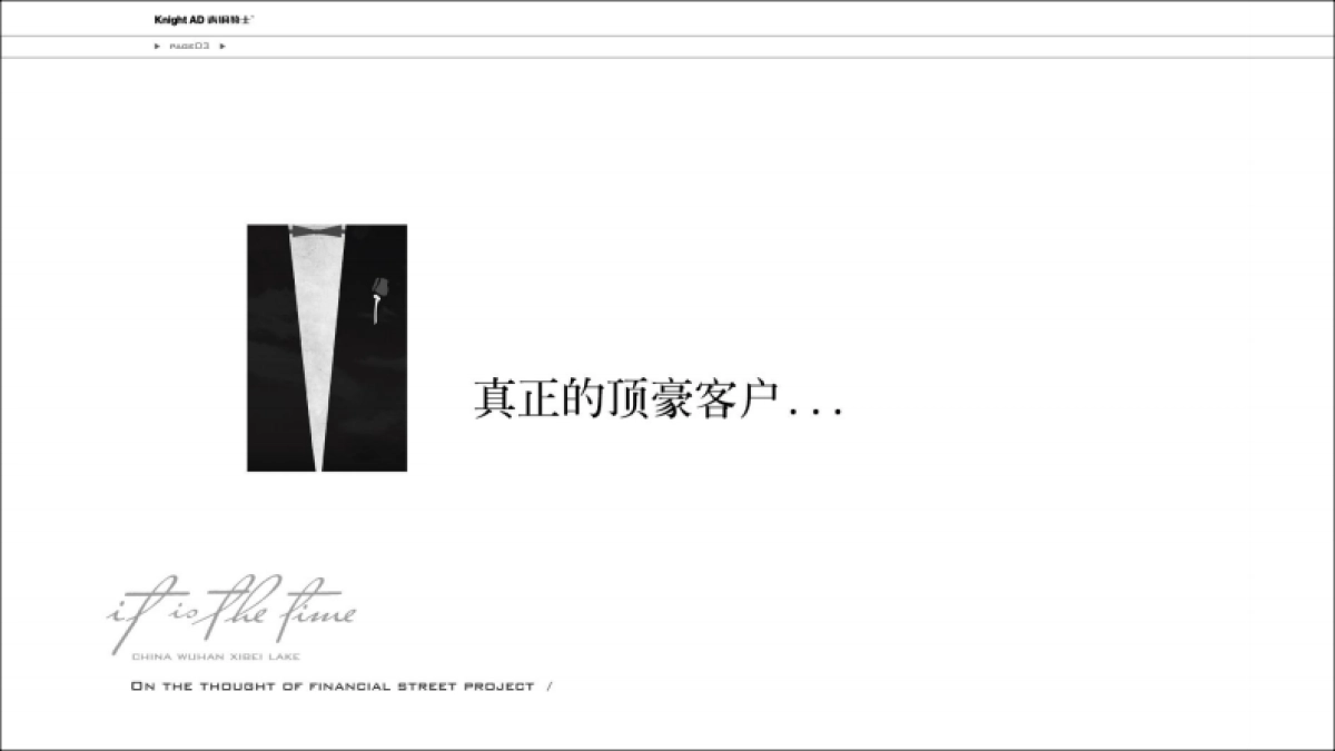 2022豪宅项目提报方案_第4页