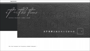 2022豪宅项目提报方案