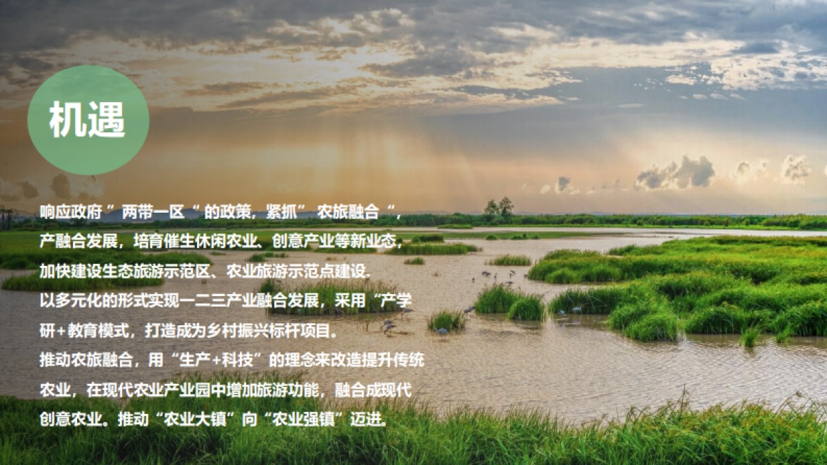 2023城市文旅田园综合体项目策划及核心区概念性规划方案_第8页