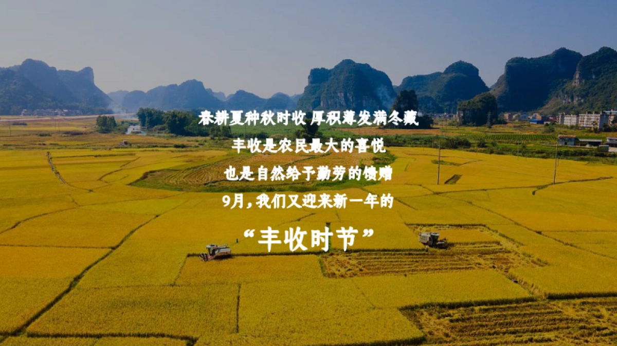 2023文旅项目农民丰收节策划方案_第2页