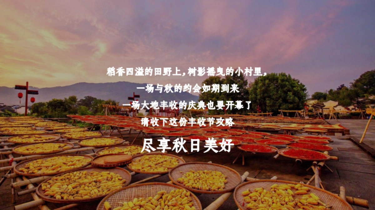 2023文旅项目农民丰收节策划方案_第3页