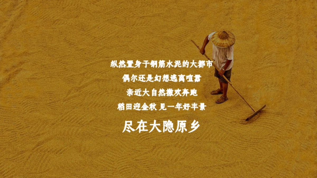 2023文旅项目农民丰收节策划方案_第4页