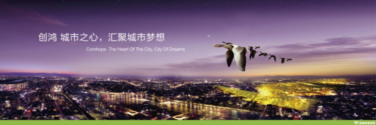 创鸿集团商业项目推介PPT_第2页