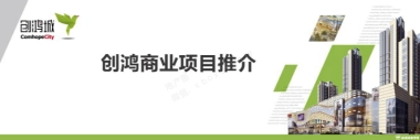 创鸿集团商业项目推介PPT