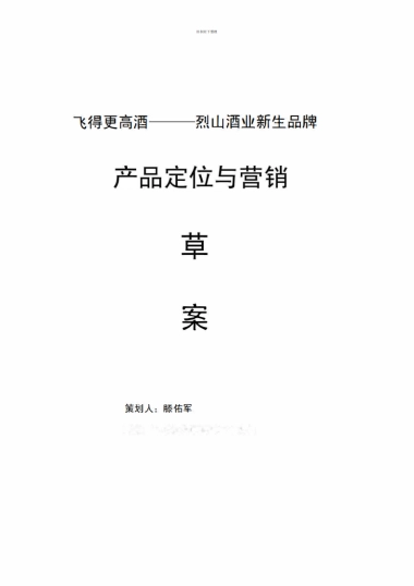 飞得更高酒项目计划书