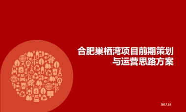 合肥巢栖湾田园综合体项目前期策划与运营思路方案