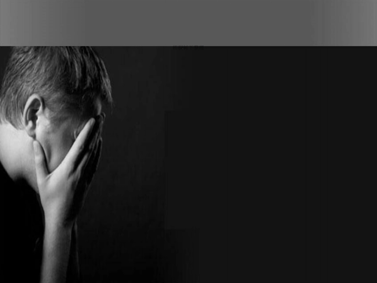 环保物联网项目计划书_第3页