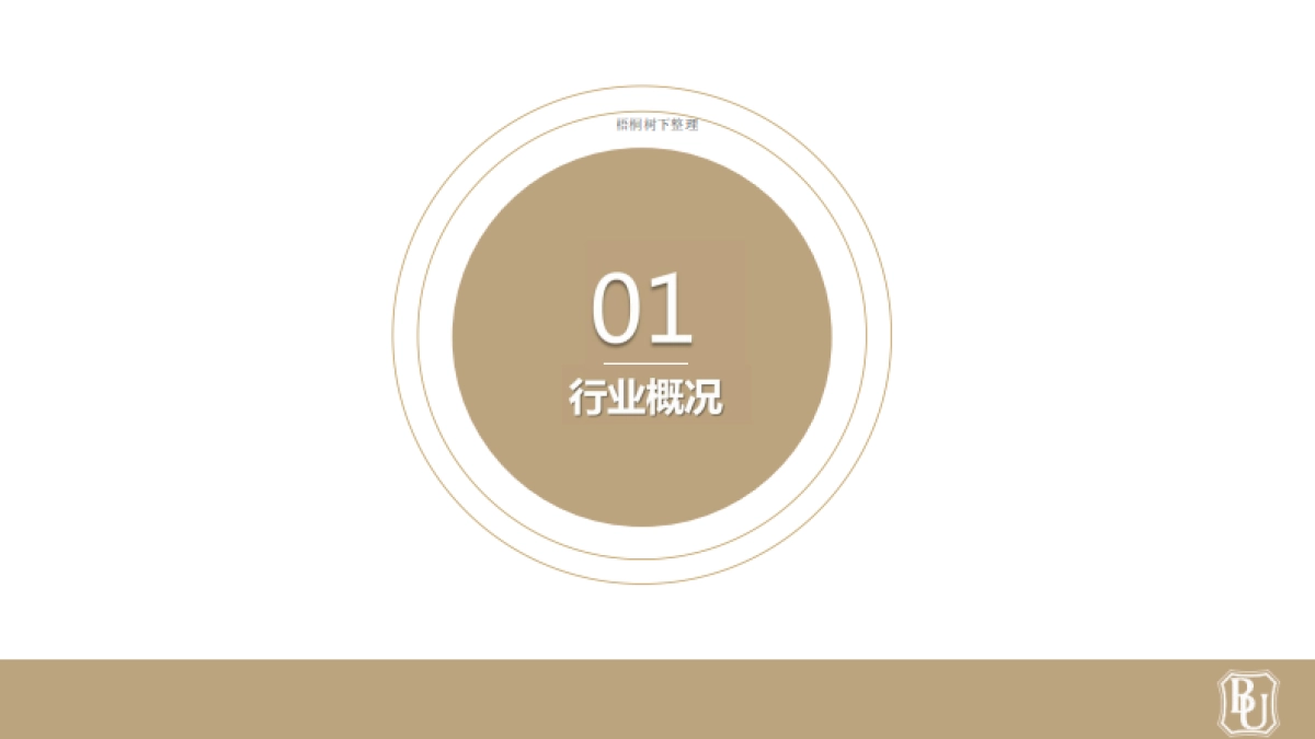 金橙项目计划书_第3页