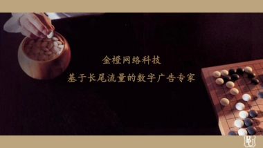 金橙项目计划书