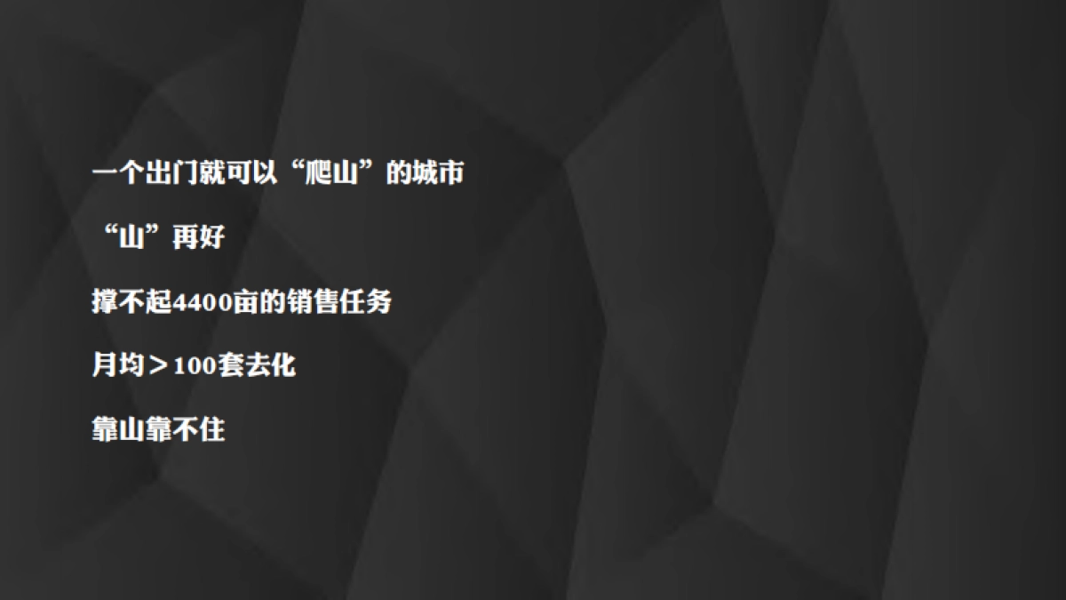 康旅项目全案入市策略提报方案_第5页