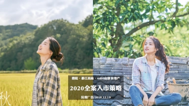 康旅项目全案入市策略提报方案