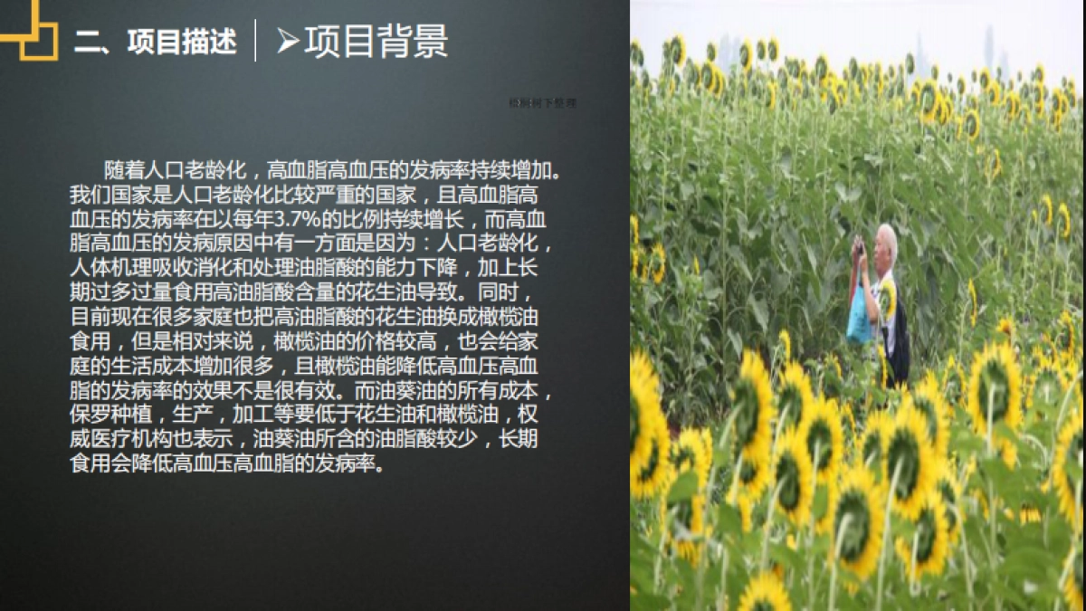 绿天使绿色油葵产业链项目_第10页