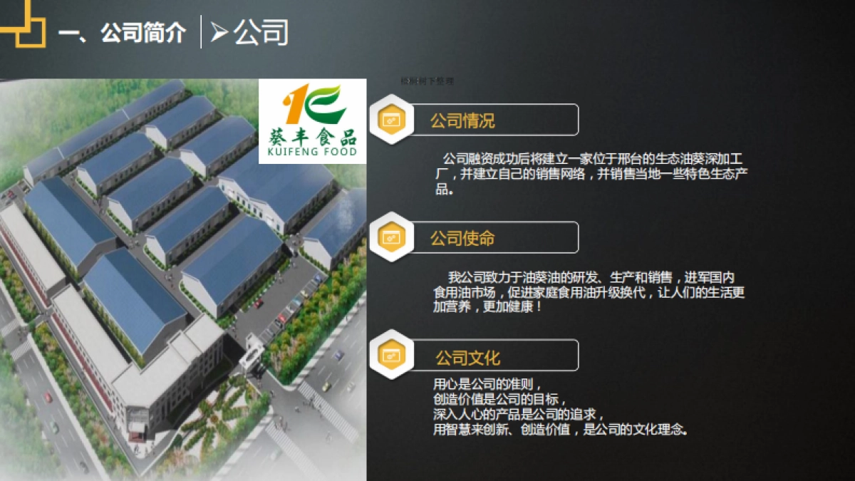 绿天使绿色油葵产业链项目_第4页