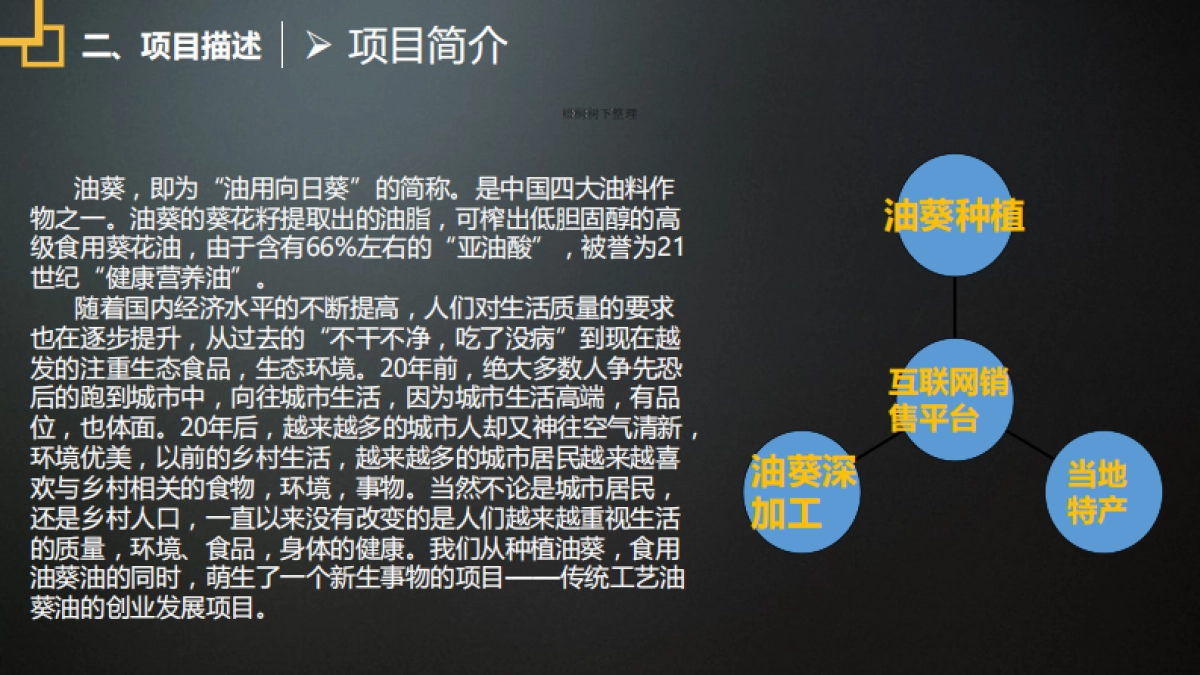 绿天使绿色油葵产业链项目_第7页