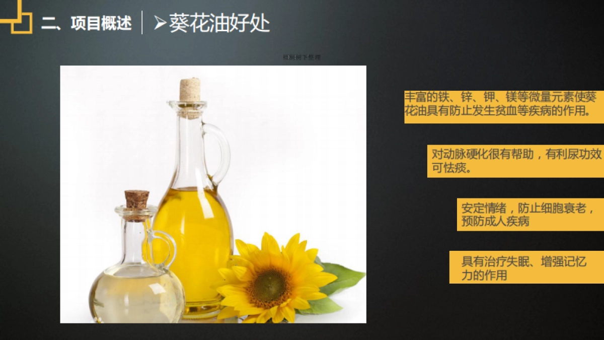 绿天使绿色油葵产业链项目_第8页