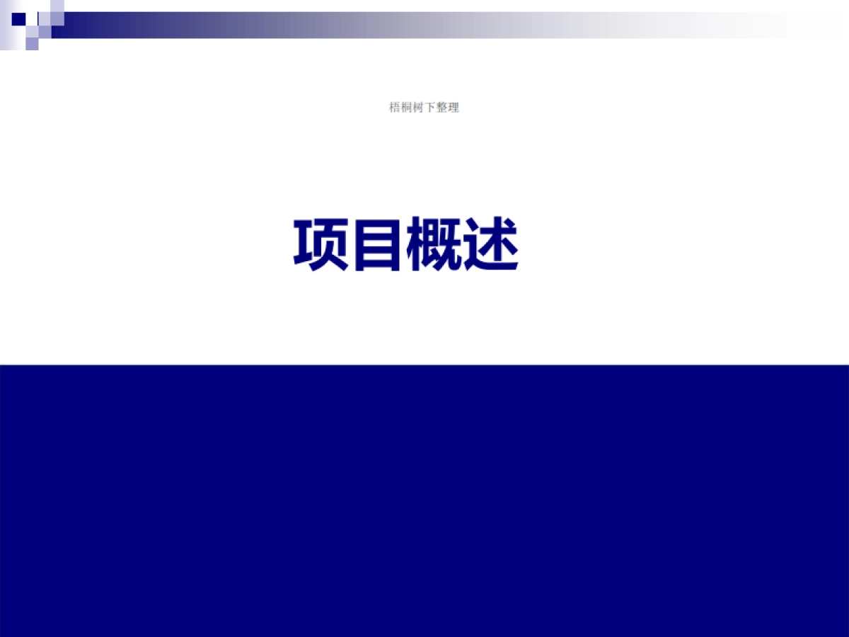 品鲜Go项目计划书_第4页