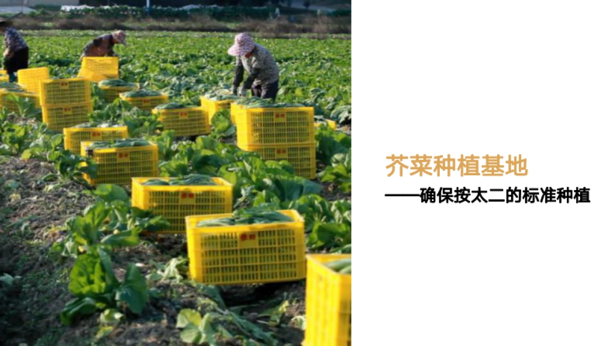 太二老坛子酸菜鱼项目手册_第9页