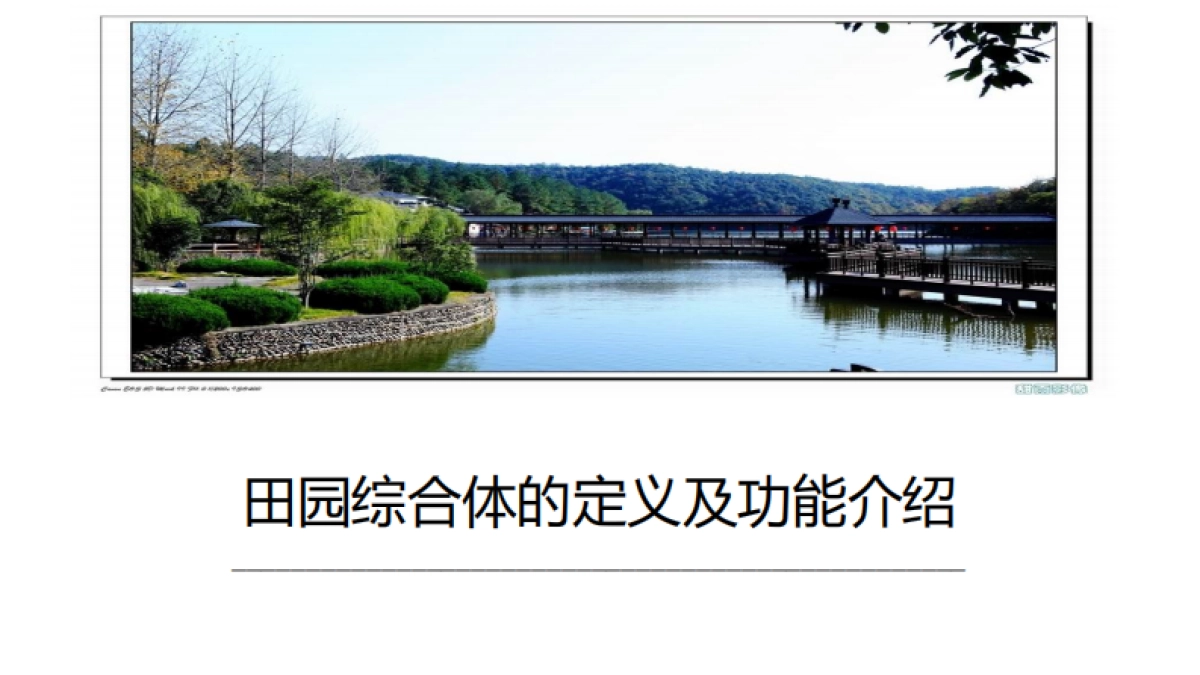 田园综合体项目落地（肖淑河）_第3页