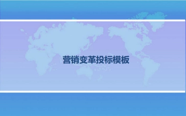 项目代理投标课件
