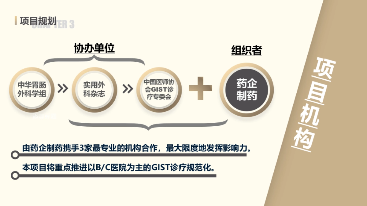 中国胃肠间质瘤(GIST)标准化治疗促进项目_第5页