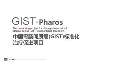 中国胃肠间质瘤(GIST)标准化治疗促进项目