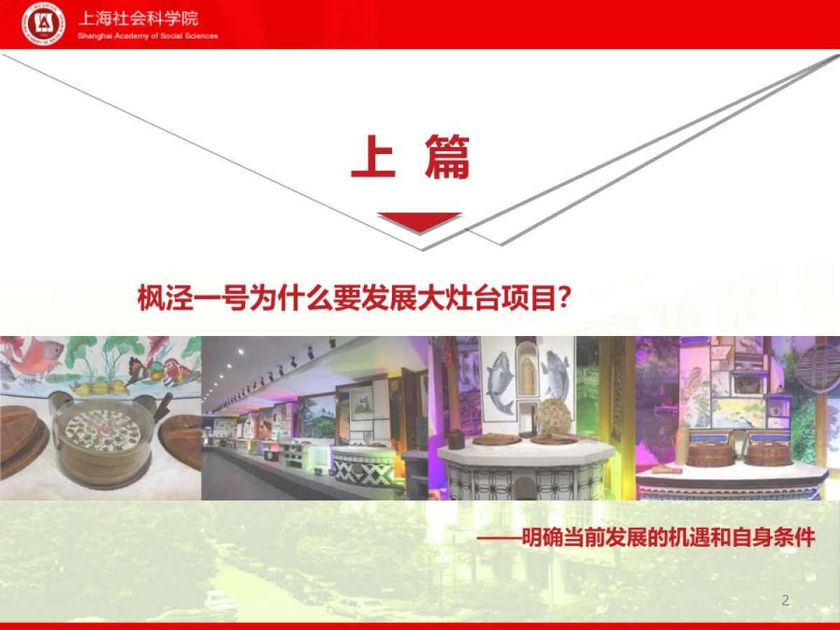 上海金山枫泾一号大灶台项目概念性策划_第2页