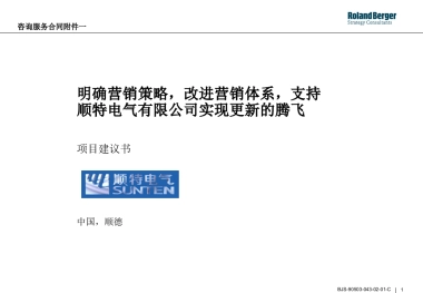 顺特电气咨询项目建议书