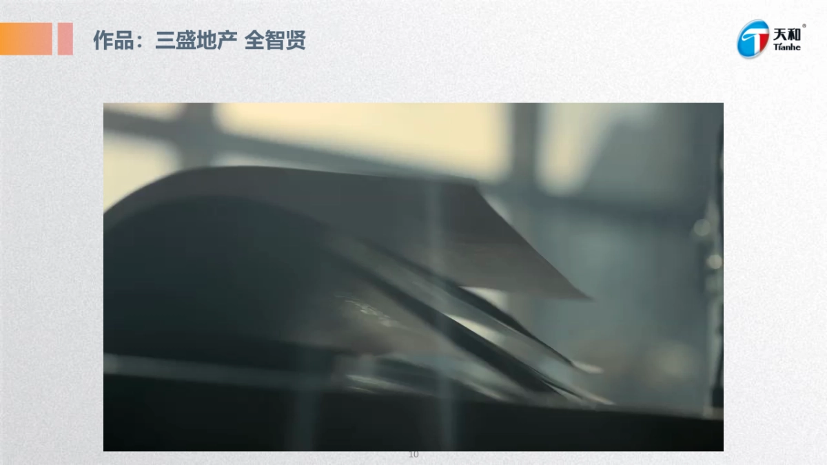 【导演推荐-TVC+病毒视频】天和女足项目方案_第10页