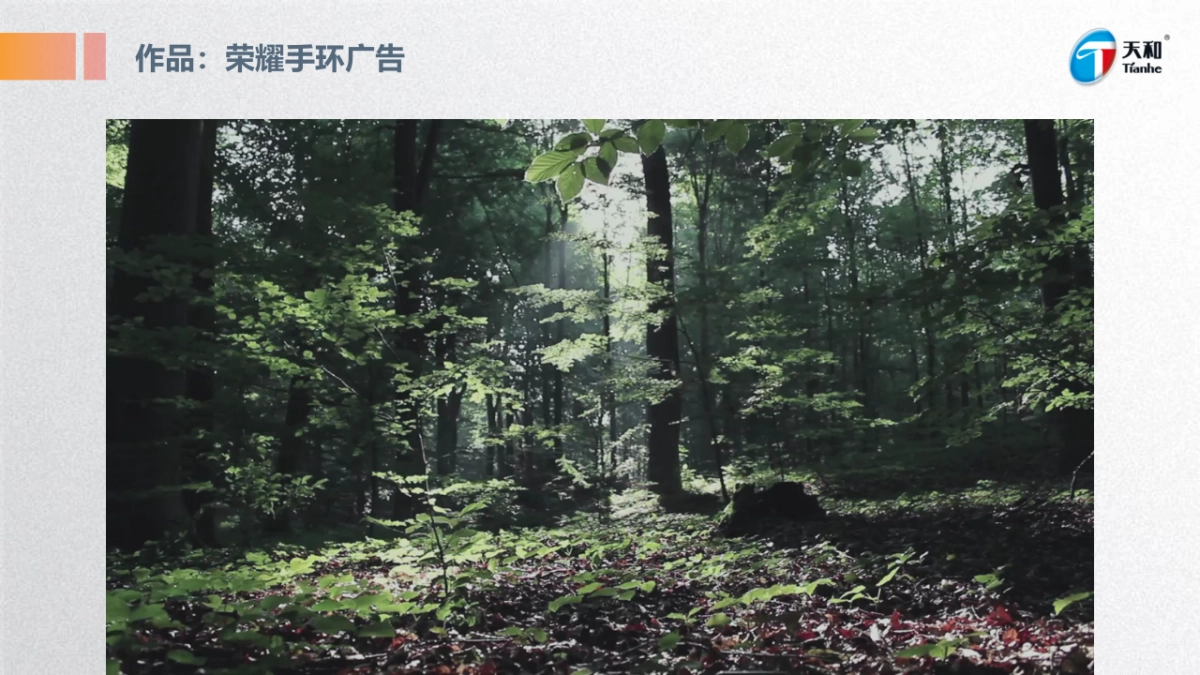 【导演推荐-TVC+病毒视频】天和女足项目方案_第6页