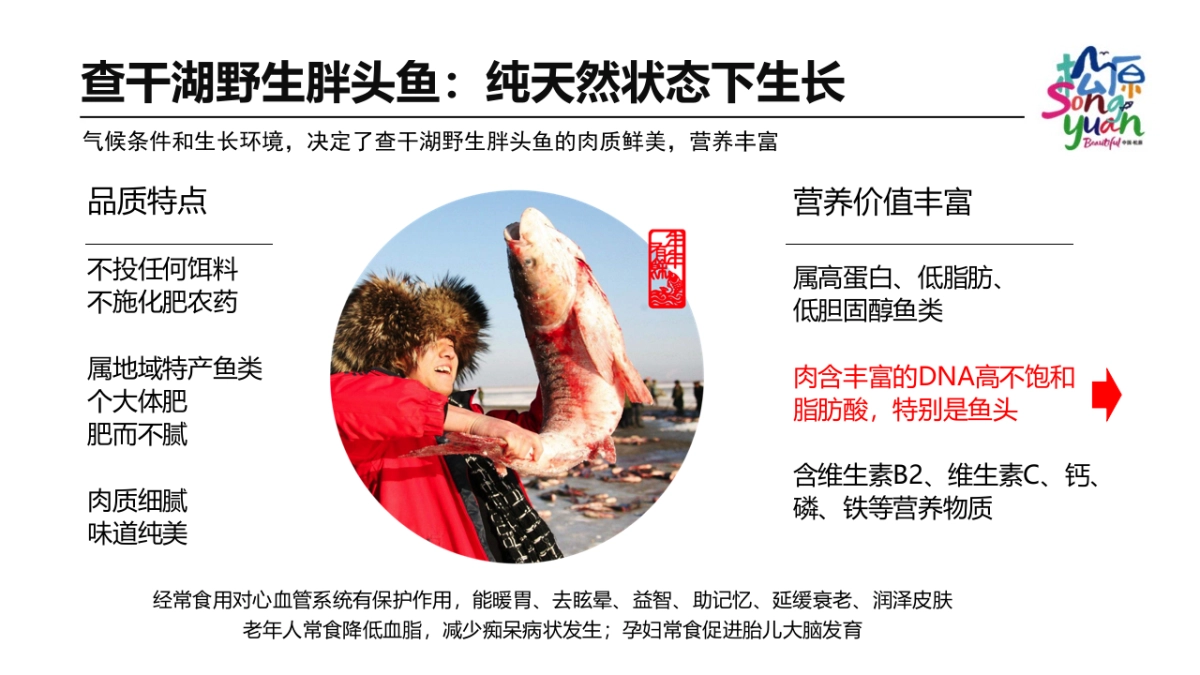 2018查干湖项目推介全国_第6页