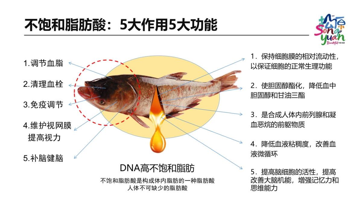 2018查干湖项目推介全国_第7页