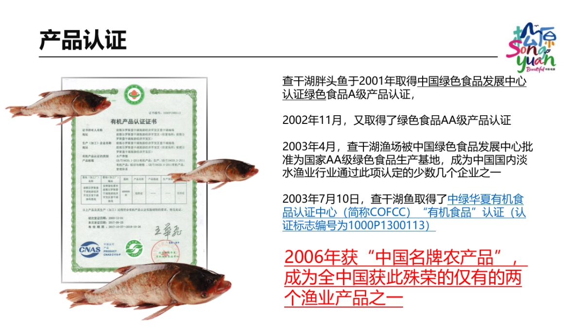 2018查干湖项目推介全国_第8页