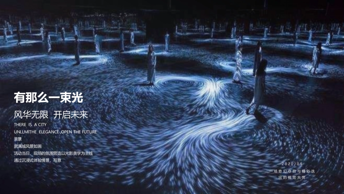 2020地产项目园林景观示范区开放暨光影艺术大赏活动策划方案_第2页