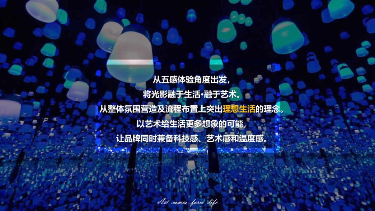 2020地产项目园林景观示范区开放暨光影艺术大赏活动策划方案_第5页