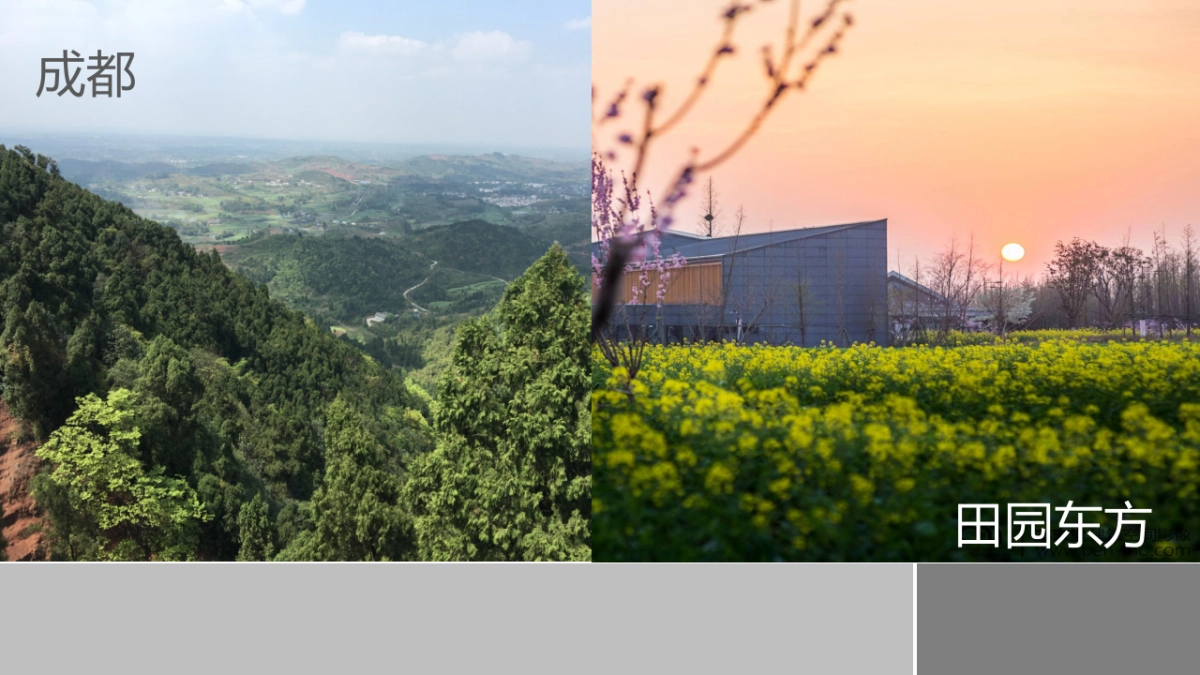 成都三星镇城乡一体发展实践区“天府田园”项目策划_第2页