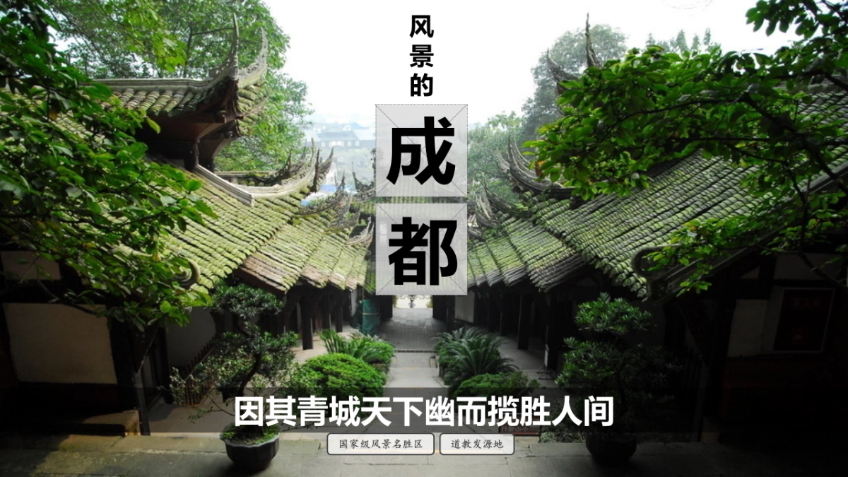 成都三星镇城乡一体发展实践区“天府田园”项目策划_第5页